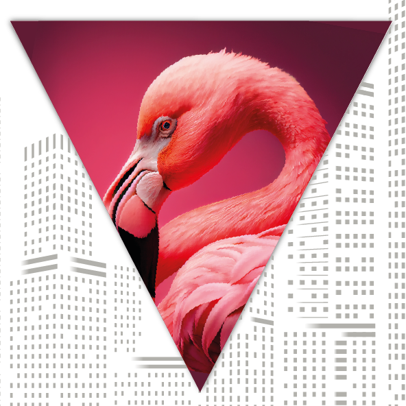 FLAGS - Bring the tropics home with flamingo flags!