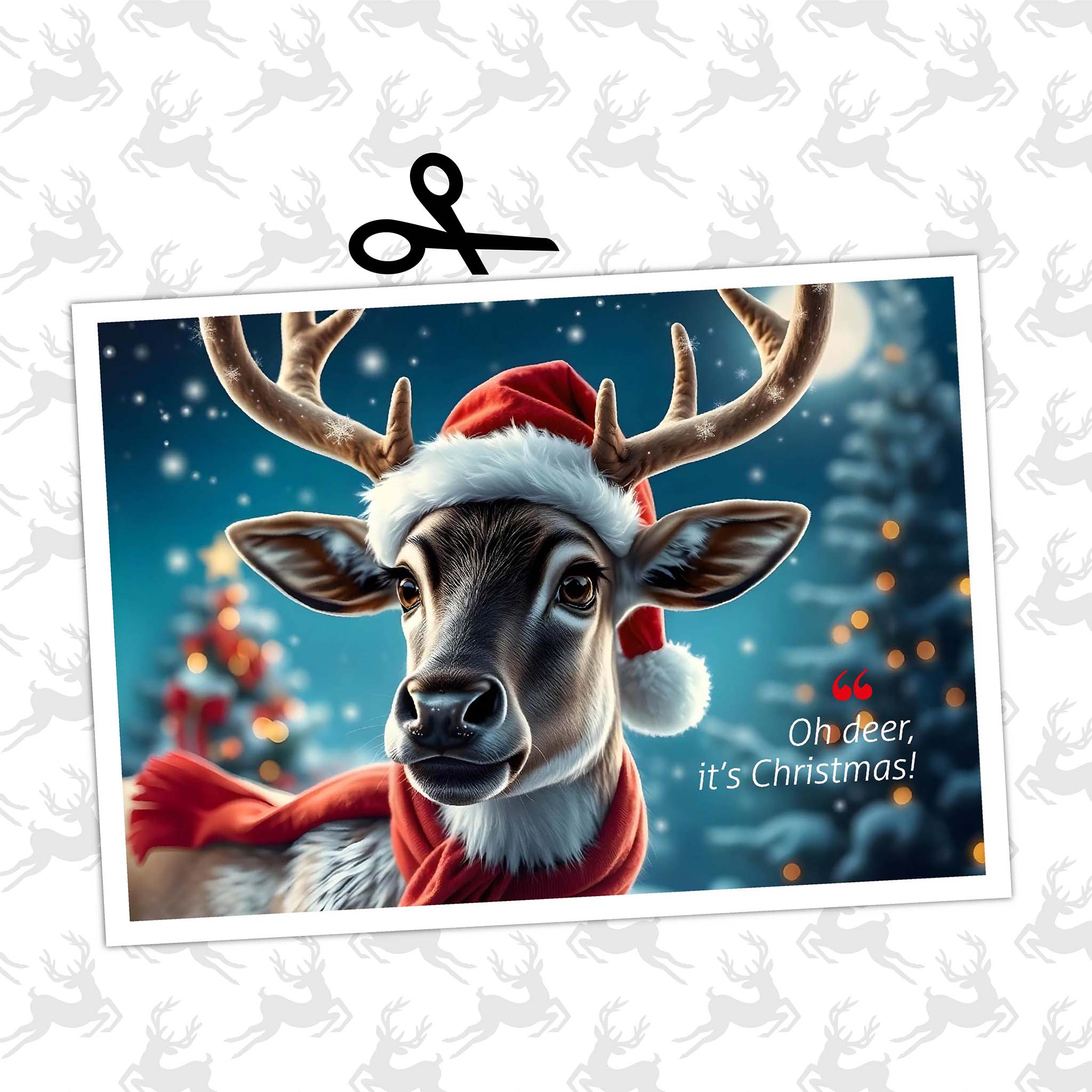 POSTCARDS - Festive fun: Print your own Christmas cards!
